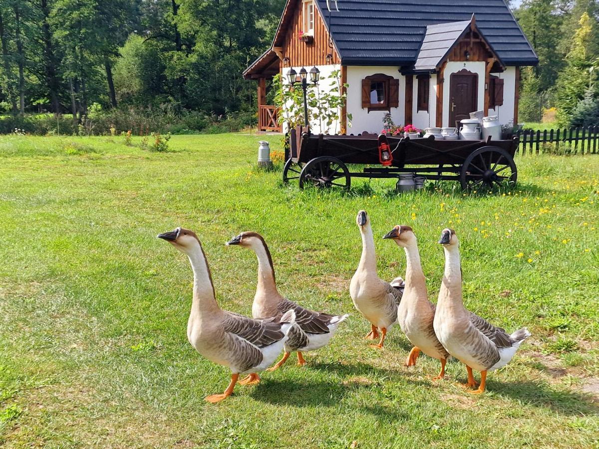 Gasno Casa Del Campo 1ヴィラ エクステリア 写真