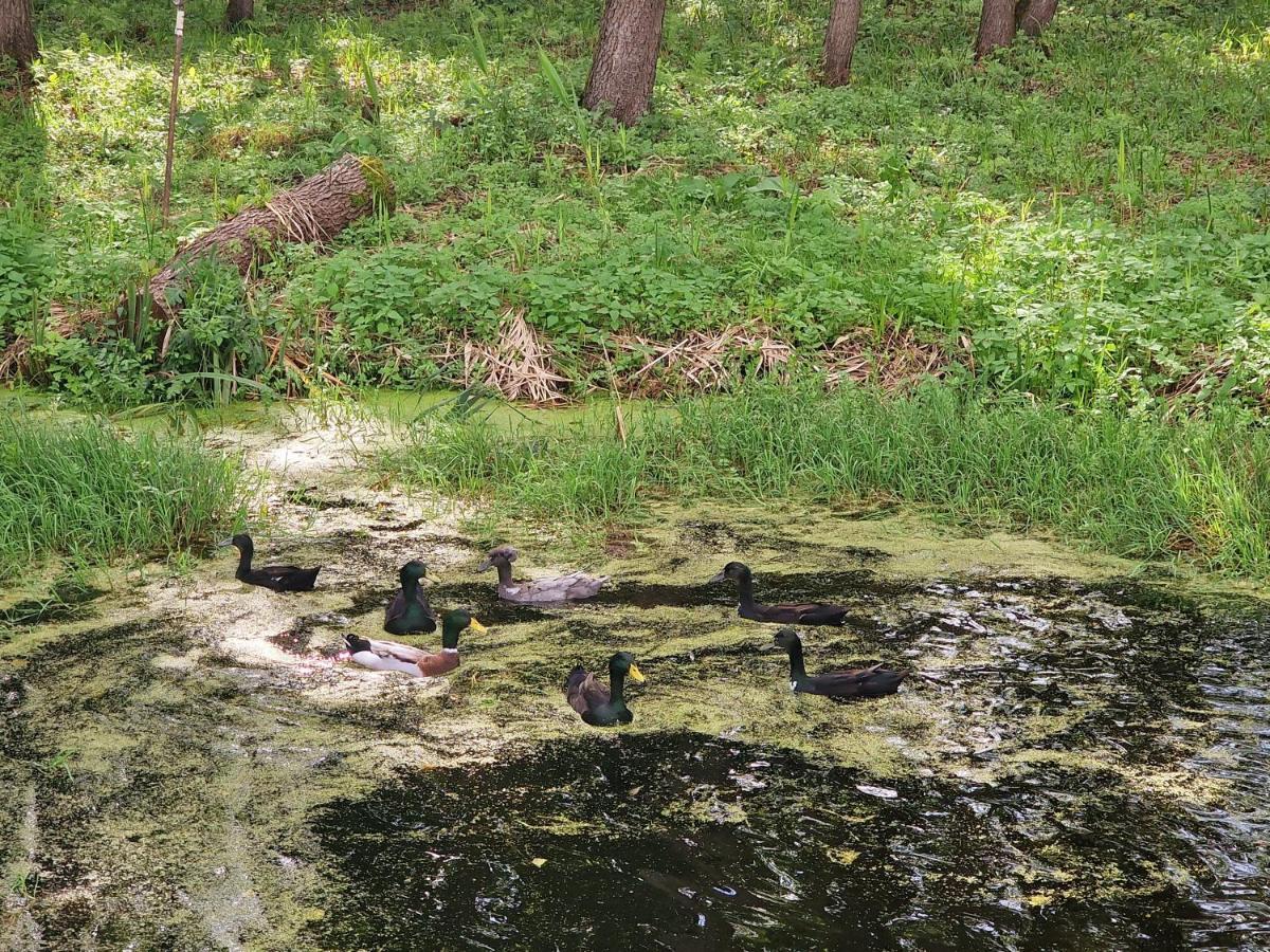 Gasno Casa Del Campo 1ヴィラ エクステリア 写真