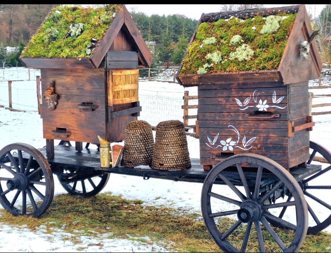 Gasno Casa Del Campo 1ヴィラ エクステリア 写真